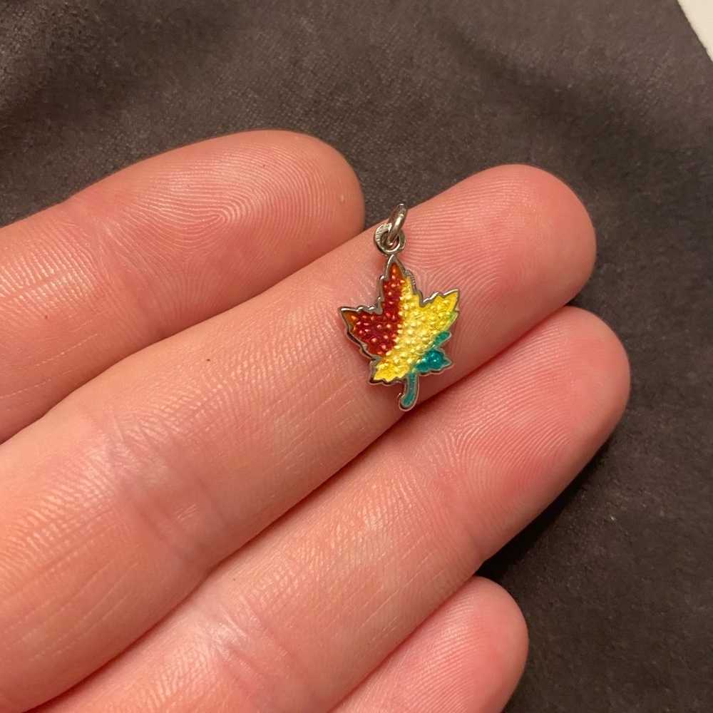 Vintage Rasta leaf charm 🍁 - Picture 3 of 5